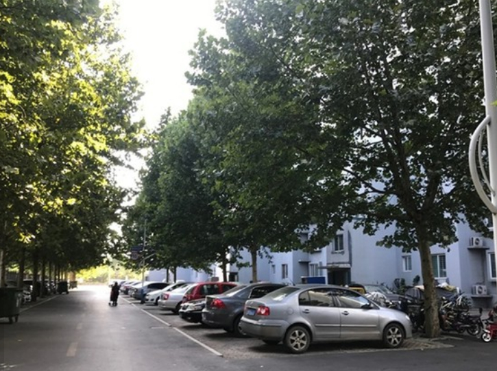 （2009年）鄒平一中翠微園1號(hào)、2號(hào)、6號(hào)樓鑒定